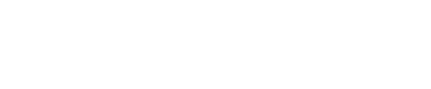 logo icon